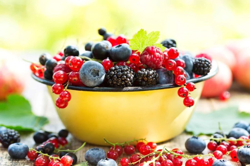 Berries: Top 7 Amazing Health Benefits