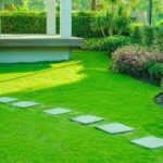 Maintaining a lush and attractive lawn requires ongoing care throughout